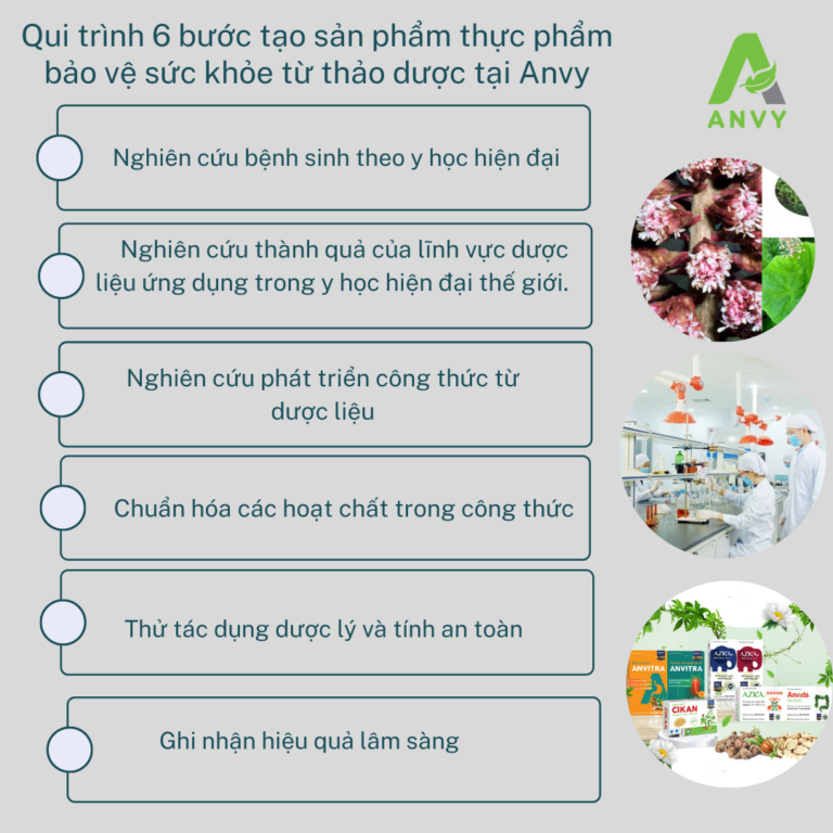 Quy trình tạo sản phẩm từ Thảo Dược