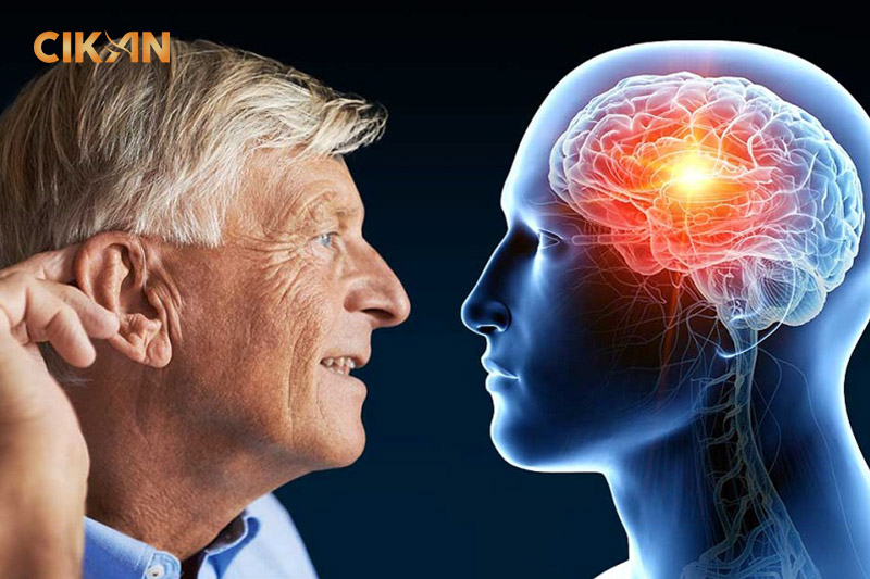 Bệnh mất trí nhớ ở người già